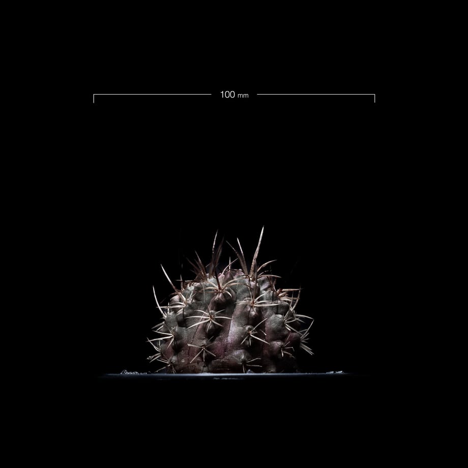 64f69f33c65008002d7858ed