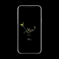 【スマホ壁紙】オトンナ ヘレー