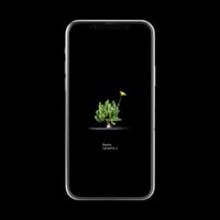 【スマホ壁紙】オトンナ クラビフォリア