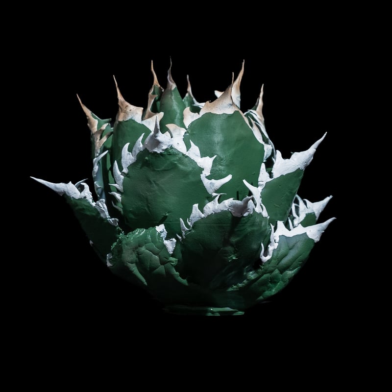 LOBINDON アガベフィギュア レッドキャットウィーズル | Ducks ( plants. )