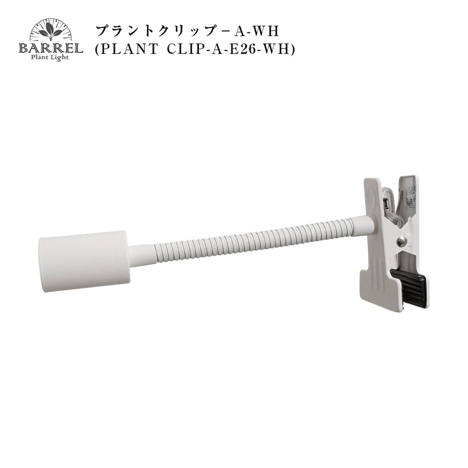 66449e605348c503237dc27a