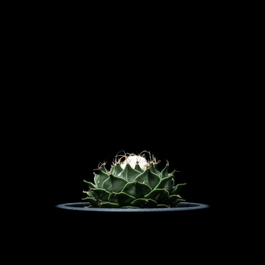 64f71ef0a3a20c002e19b05d