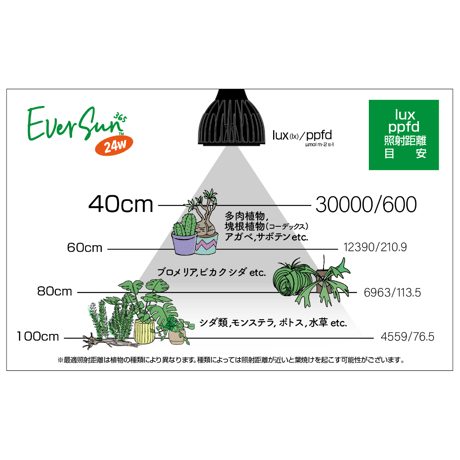 EverSun365 24W