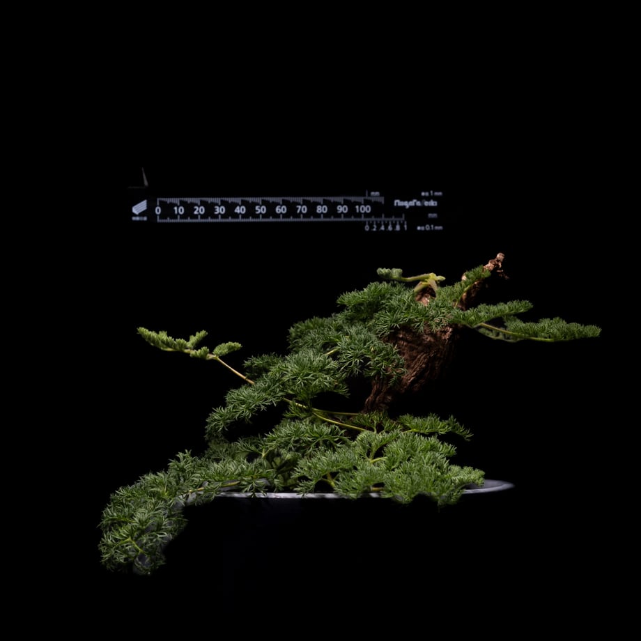 649c27cb5d2d4e0001044714