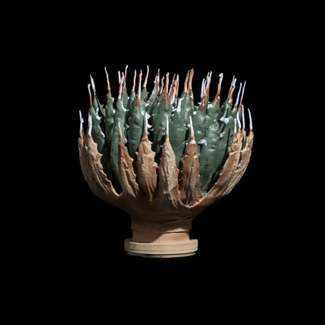 LOBINDON アガベフィギュア エボリスピナ