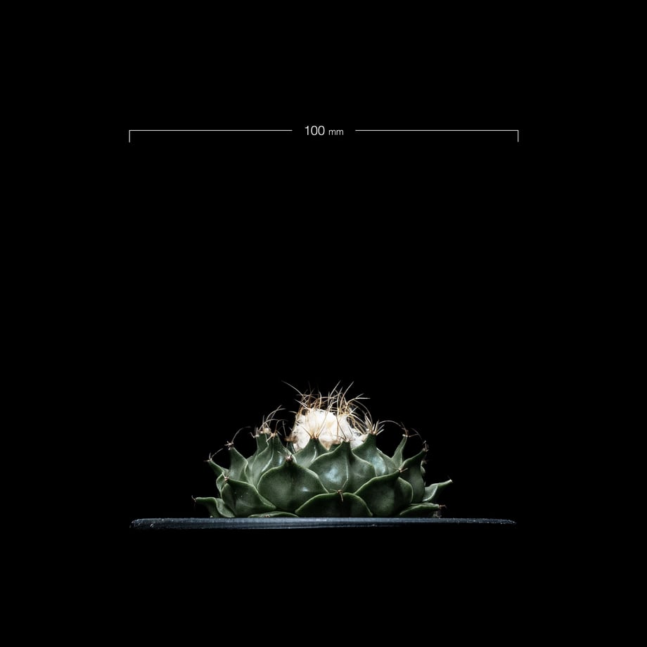 64f836dffdfc8d003133015e