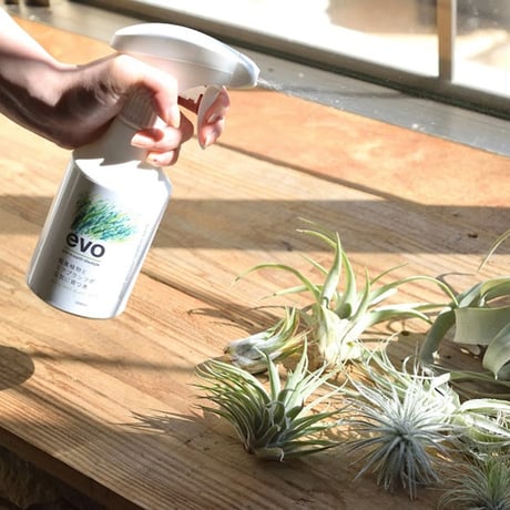 evo 観葉植物とエアプランツが元気に育つ水