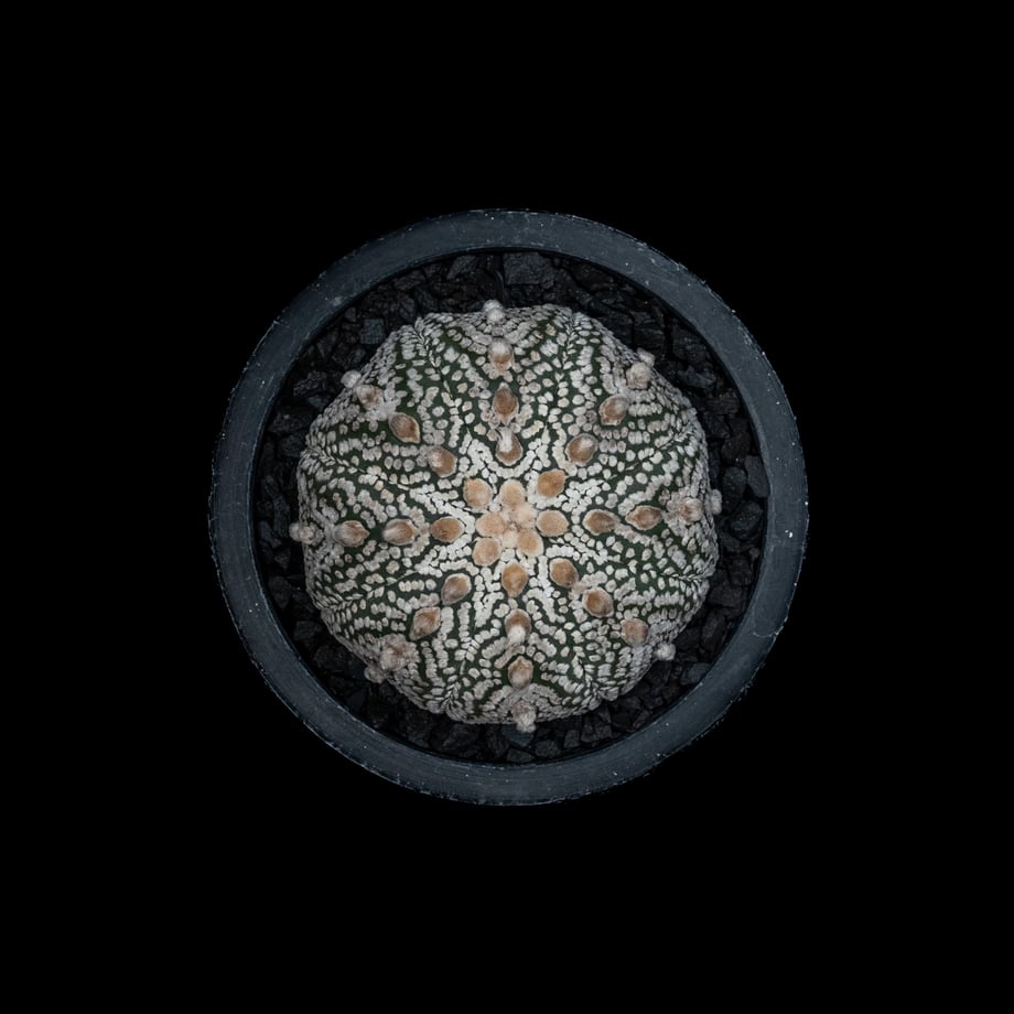 6576ec761c5df00051409666