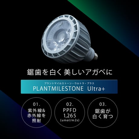 PLANTMILESTONE アガベ専用ライト Ultra+