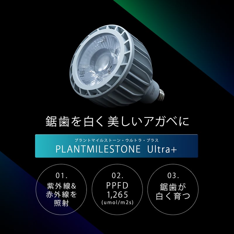 PLANTMILESTONE Ultra＋ アガベ 植物育成ライト LED PLANTMILESTONE アガベ専用ライト Ultra+ | Ducks ( plants. )