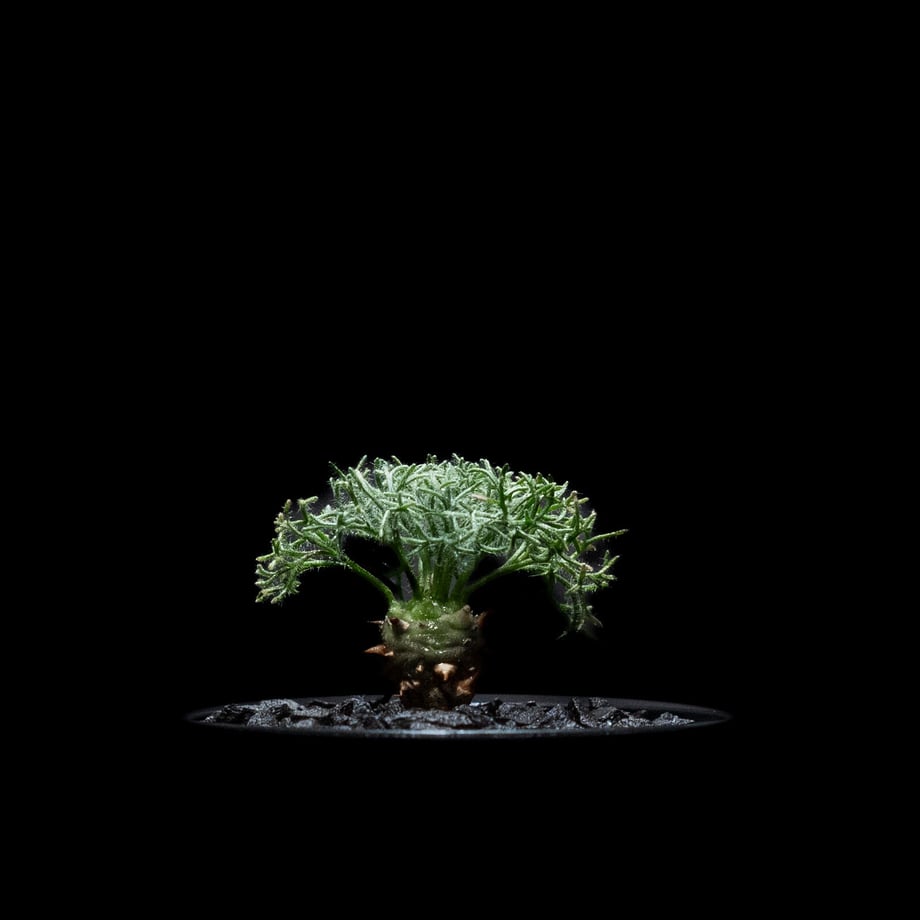 64b7e9142200bb002b680924