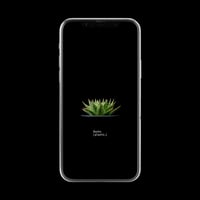 【スマホ壁紙】アロエ ポリフィラ
