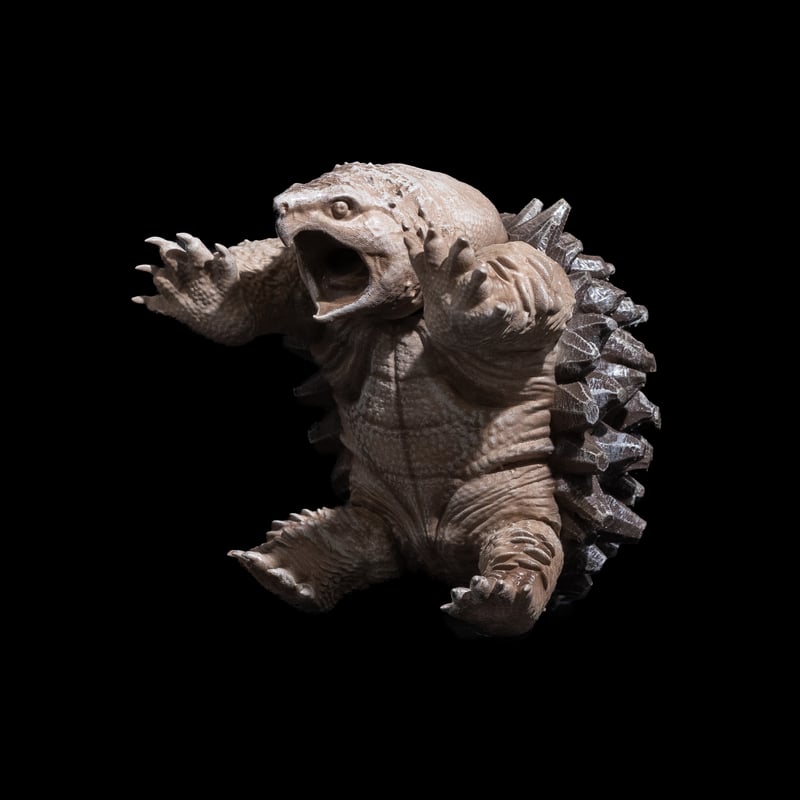 LOBINDON 亀甲亀フィギュア | Ducks ( plants. )