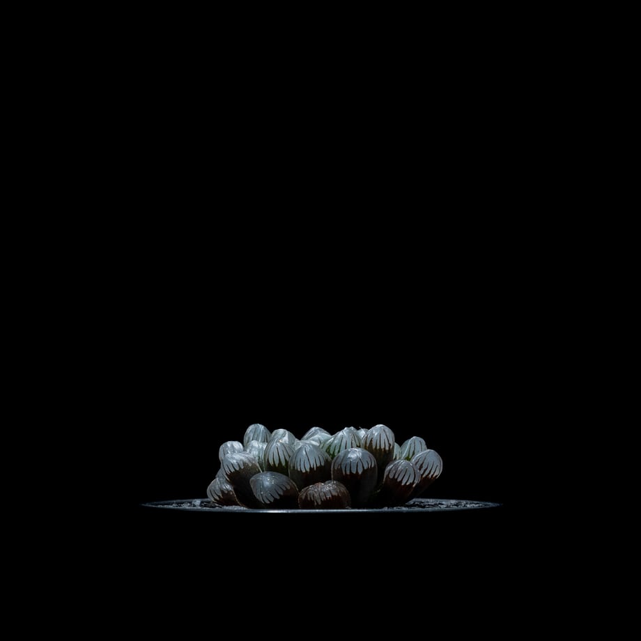 6576eb3b1c5df00054409457