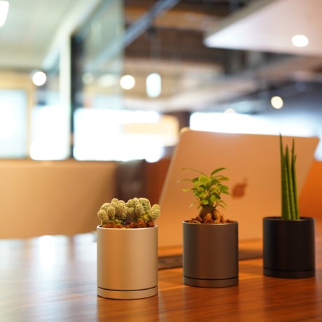 TOOLMARQ Desktop Planter Silver