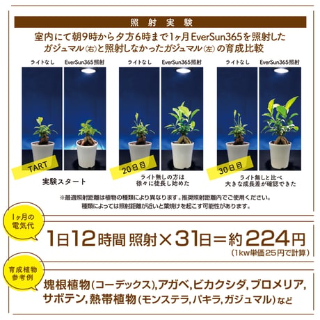 EverSun365 24W