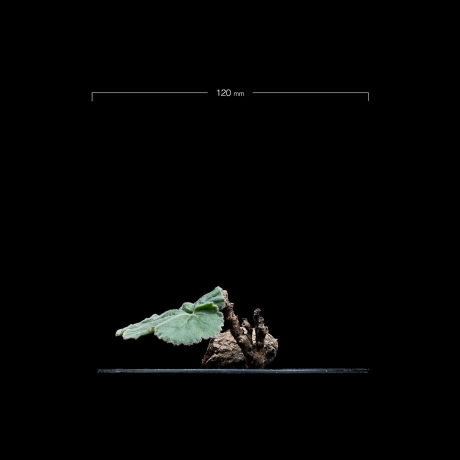 65f16623ff050402b81720bc