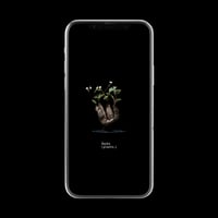 【スマホ壁紙】ユーフォルビア ノーザンマダガスカル
