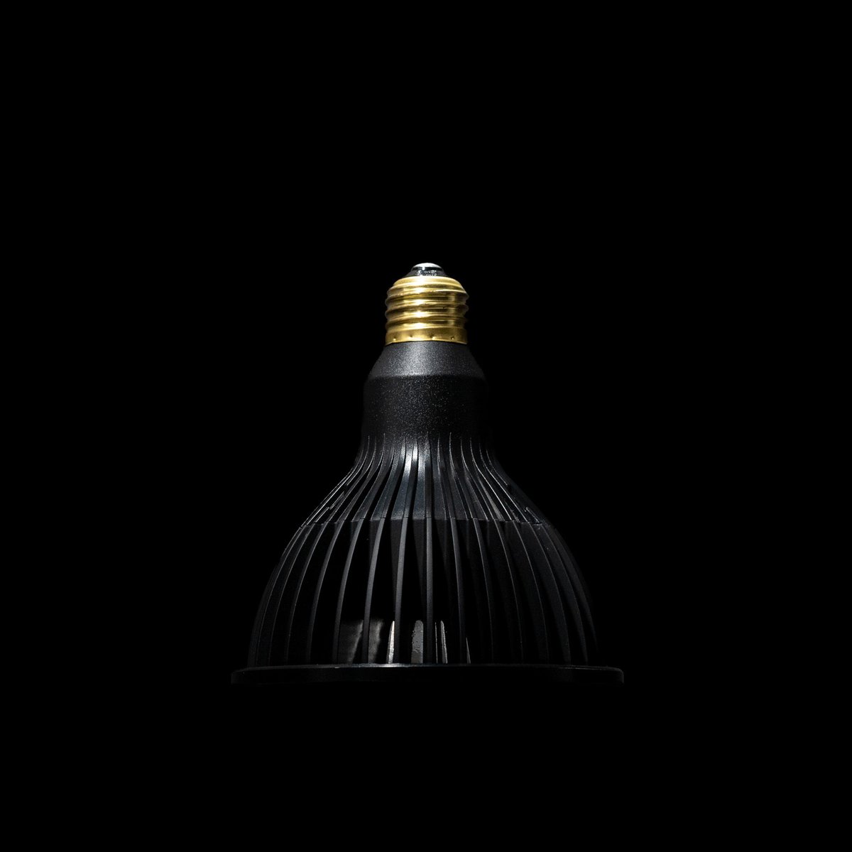 BARREL LED NEO TSUKUYOMI 20W | Ducks ( plants. )