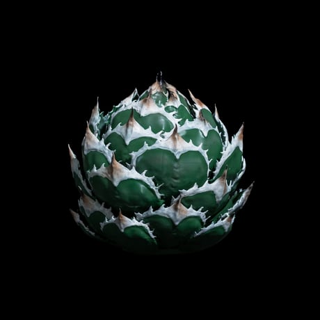 LOBINDON アガベフィギュア 白鯨
