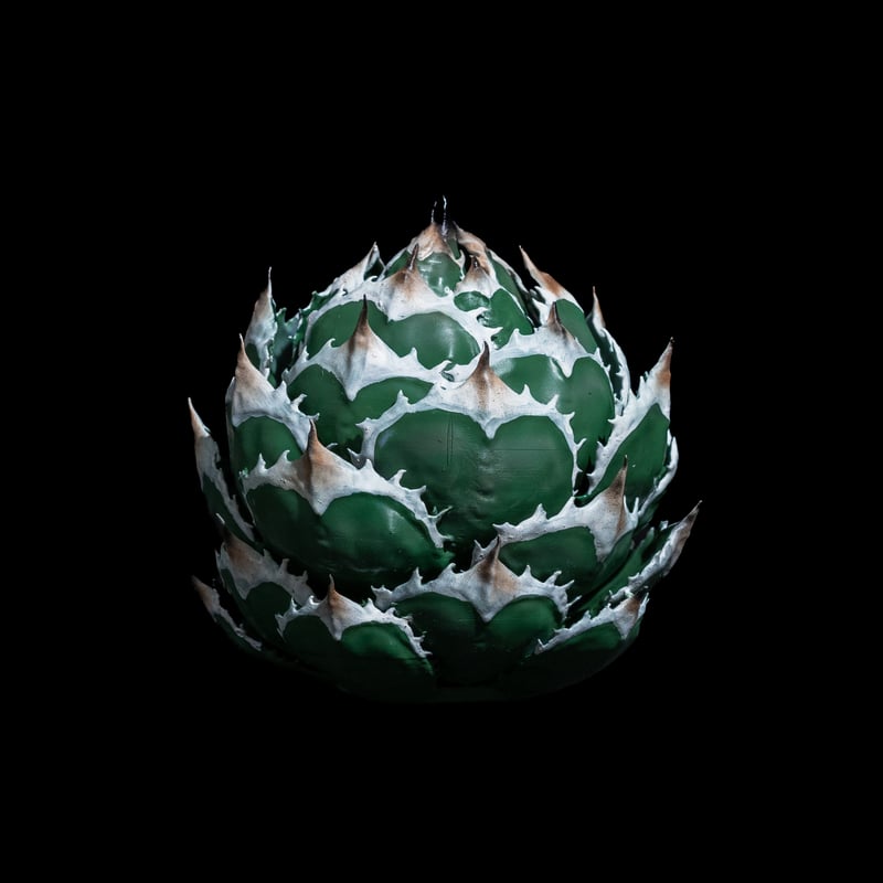 LOBINDON アガベフィギュア 白鯨 | Ducks ( plants. )