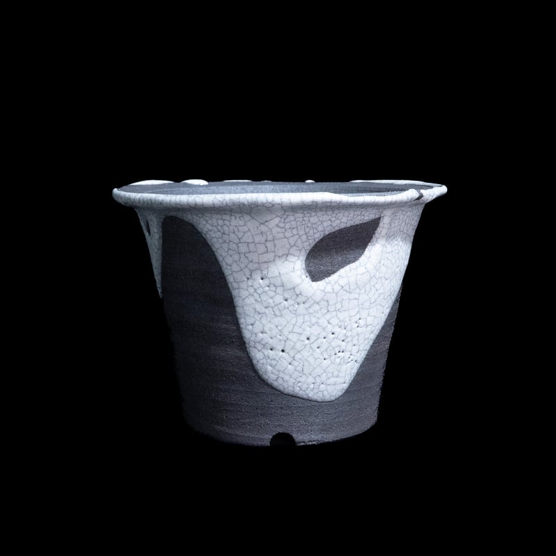 かみ山陶器 白マット貫入ツバ広 | Ducks ( plants. )