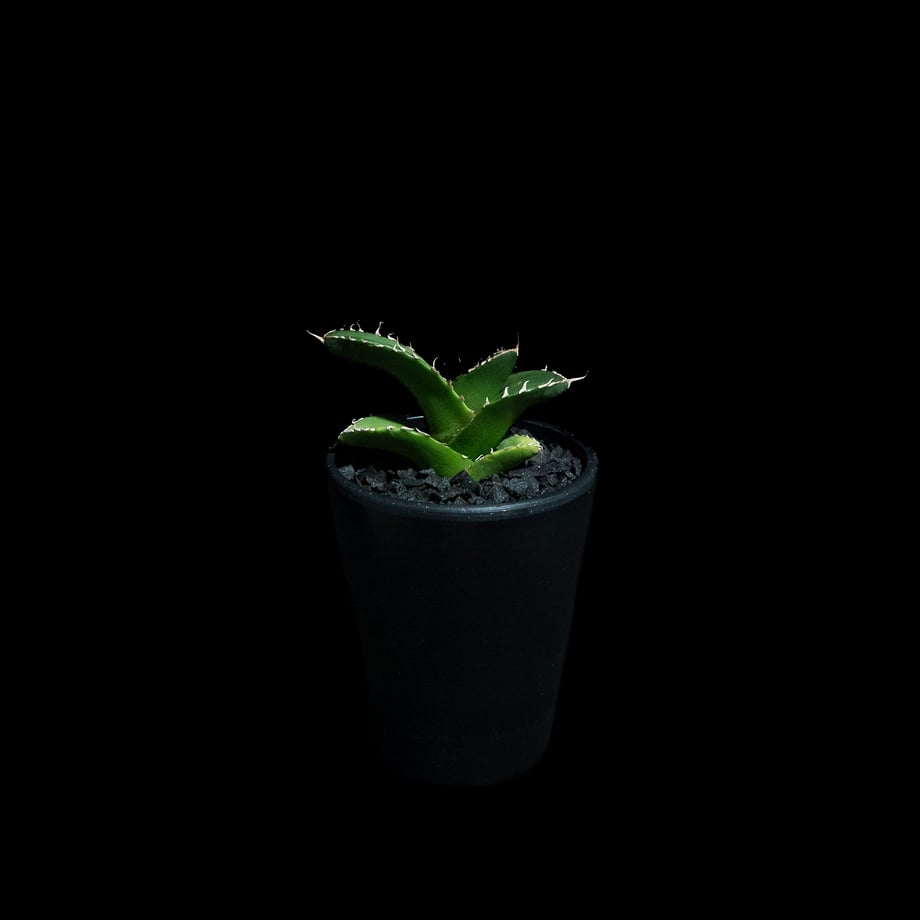 68c553f8f90f20e0aef5c34c