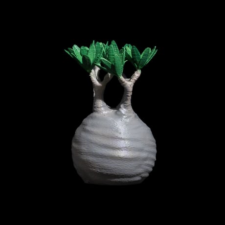 LOBINDON グラキリスフィギュアB フルカラー