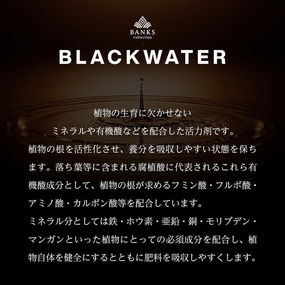 663f325bc650081b332c9e07