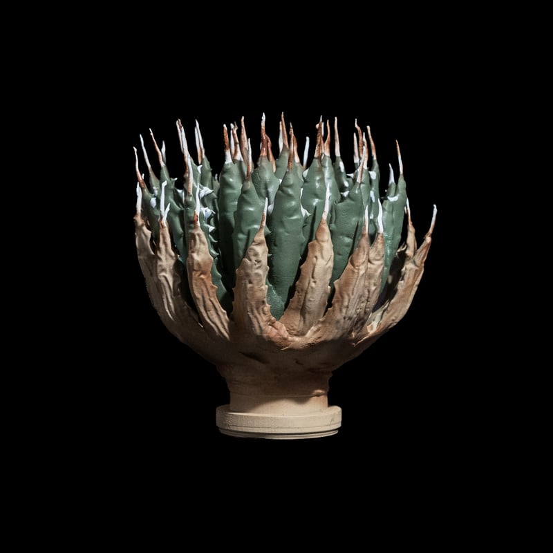 LOBINDON 3D アガベ フィギュア 3種セット 【2種訳アリ】 LOBINDON アガベフィギュア エボリスピナ | Ducks ( plants. )