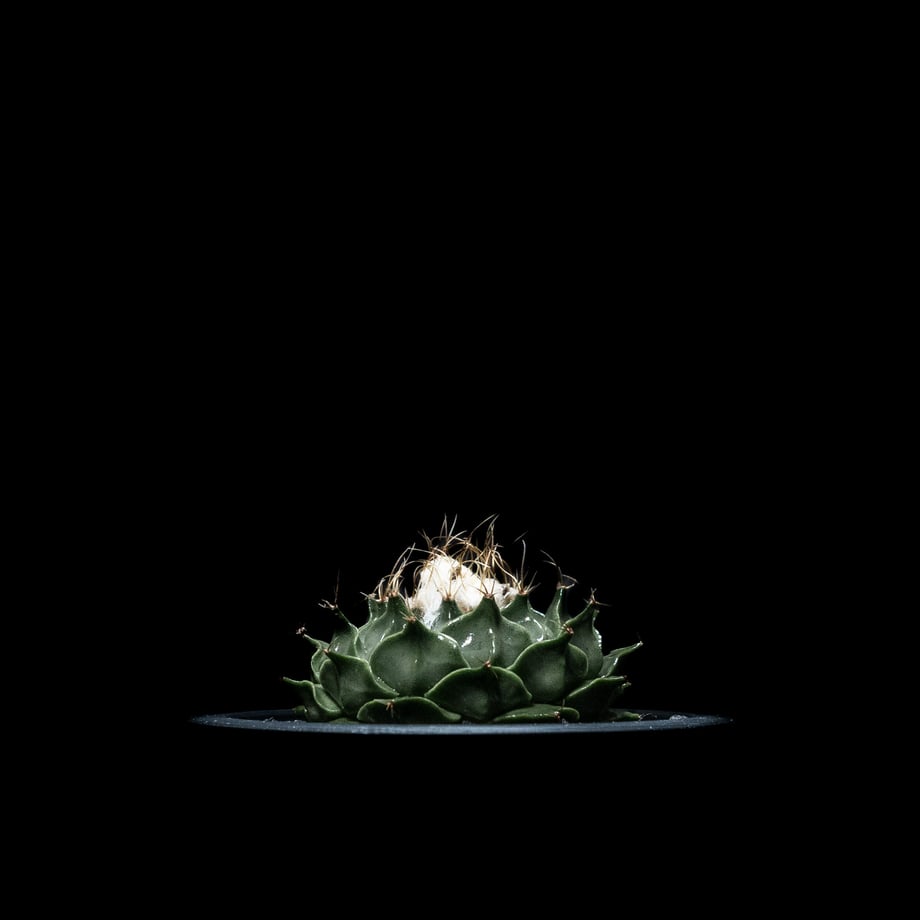 64f836dffdfc8d003133015e