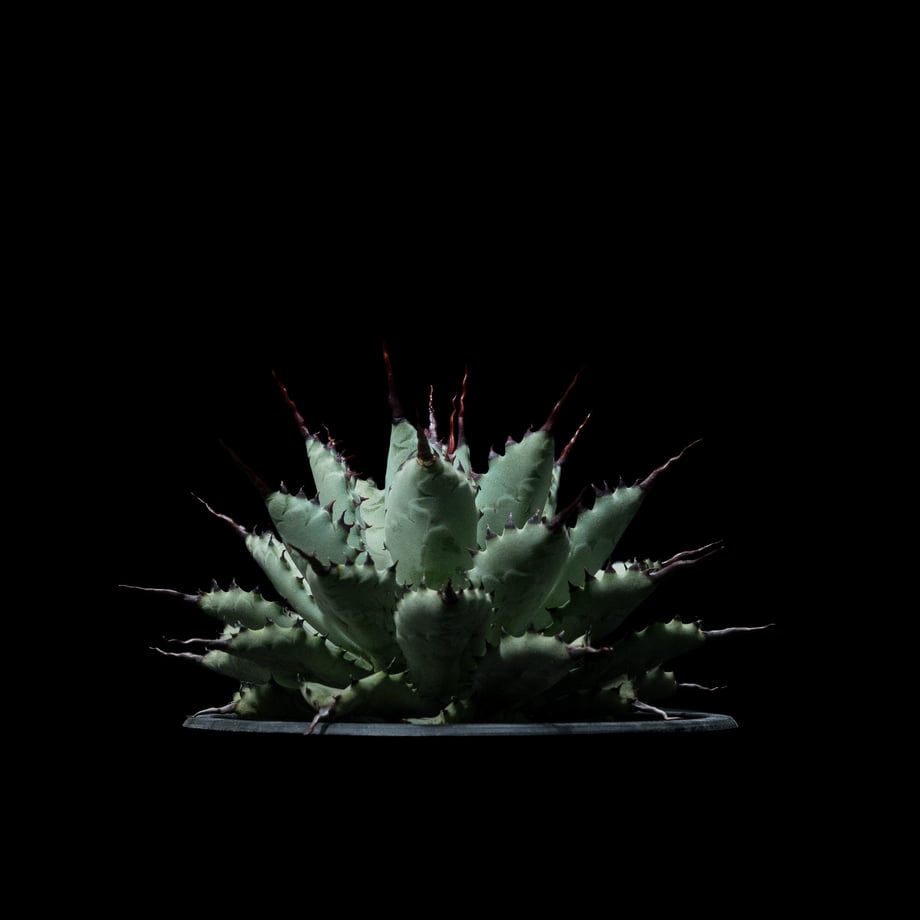 65430fc724537c236f9ae78d