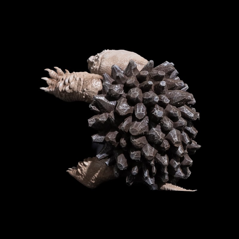 心*-様 亀甲竜 LOBINDON 亀甲亀フィギュア | Ducks ( plants. )