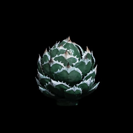 LOBINDON アガベフィギュア 白鯨