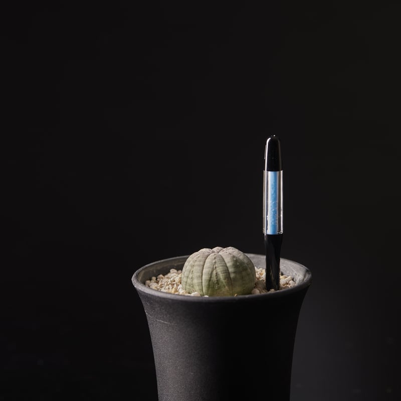 SUStee サスティー 水やりチェッカー | Ducks ( plants. )