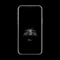 【スマホ壁紙】ディッキア
