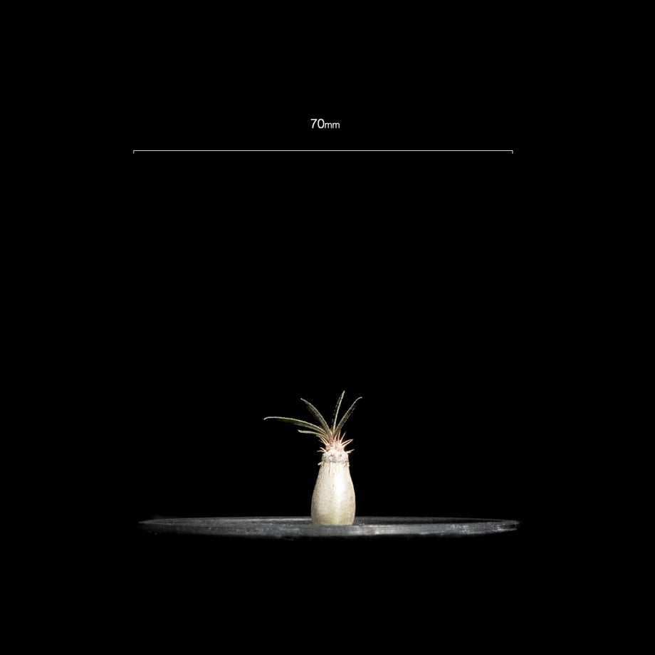 670dd914712e6e025014271a