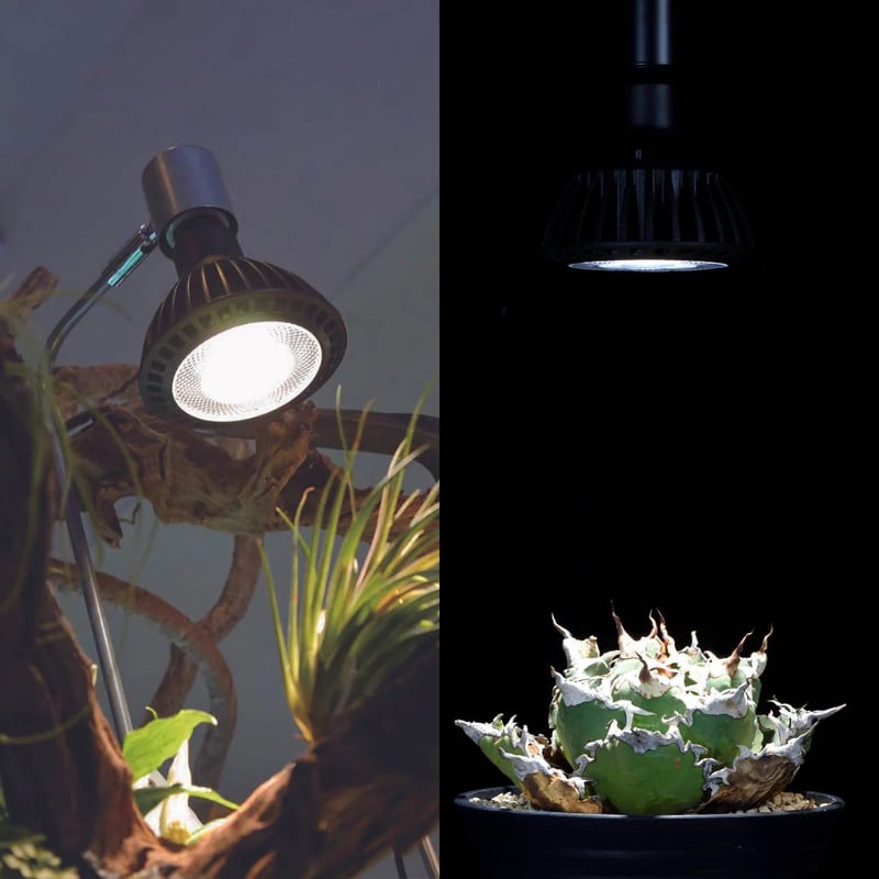 CERAPHIC いきもの電球 【挟角タイプ 33度】 | Ducks ( plants. )