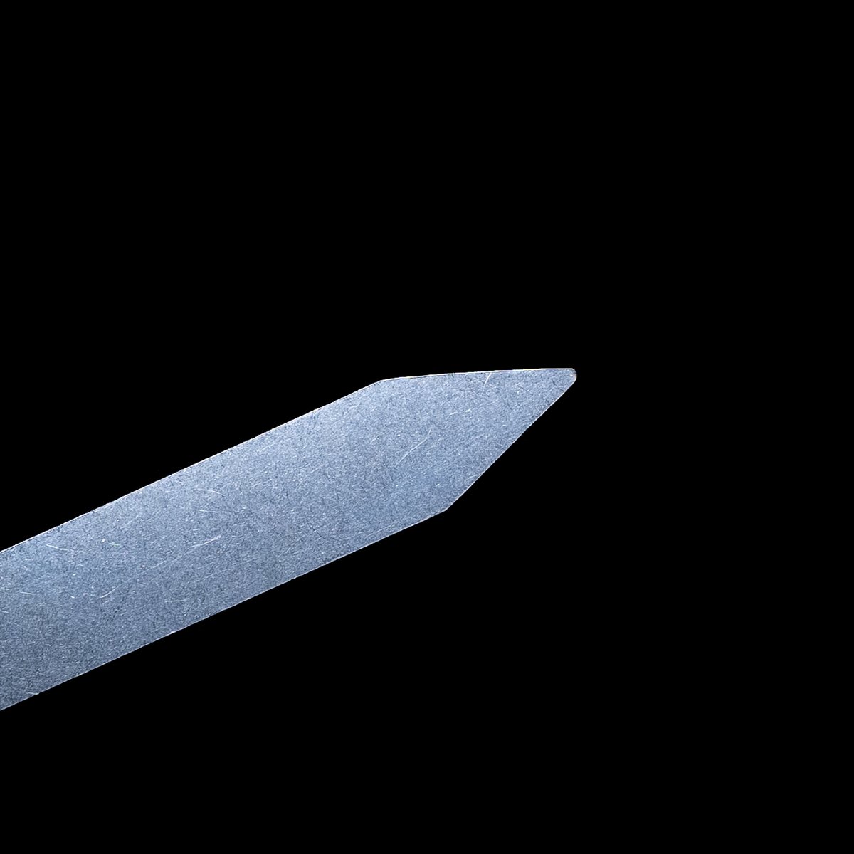 TKさんのパキプス HACHI-8公式】オペルクリカリア・パキプス -Operculicarya