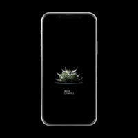 【スマホ壁紙】アガベ チタノタ シーザー (凱撒)