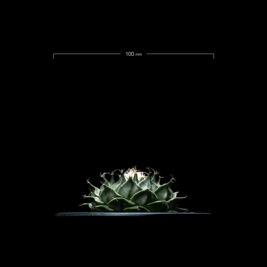 64f83714fc5660002b4279c1