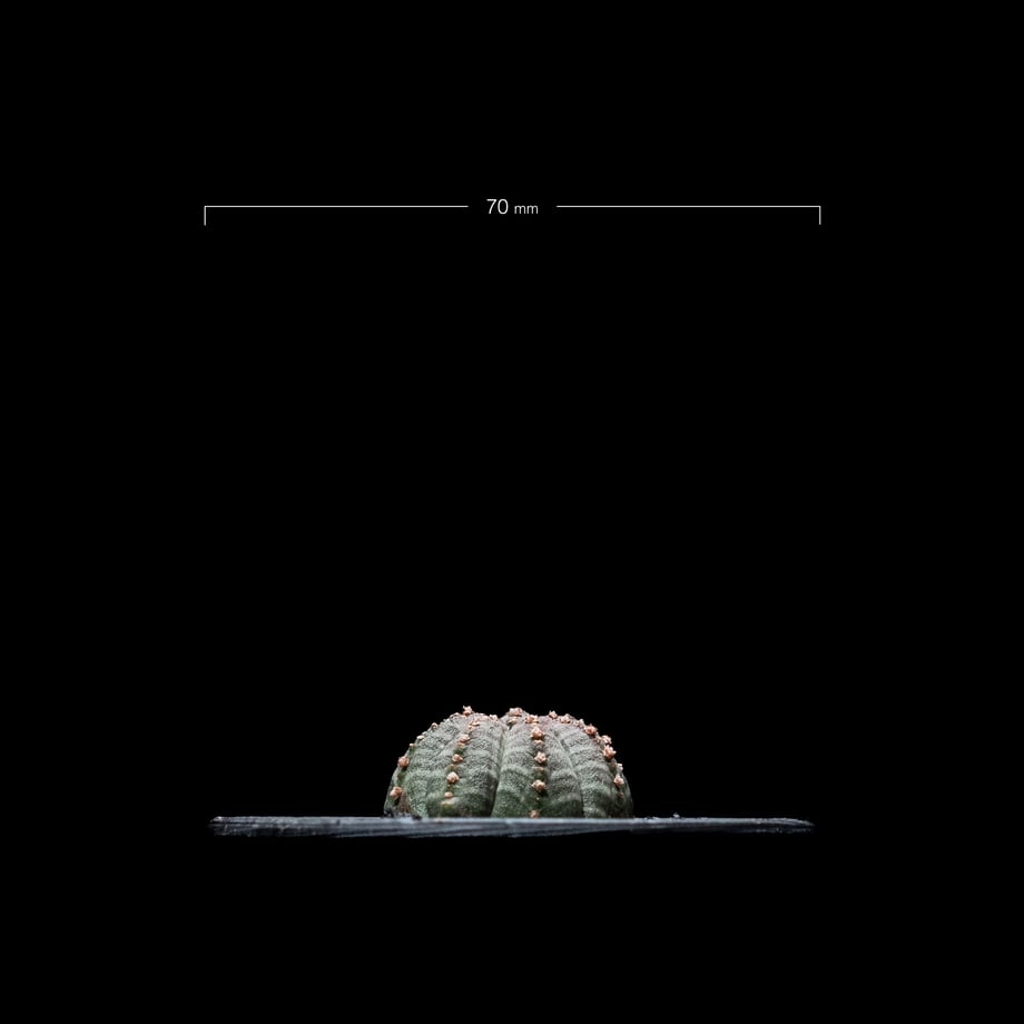 64f02c9206b01a004323e702