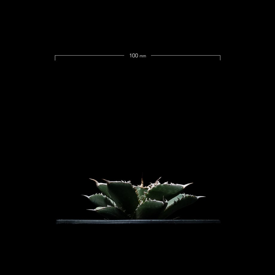 6541c1677619fe002e835aa2