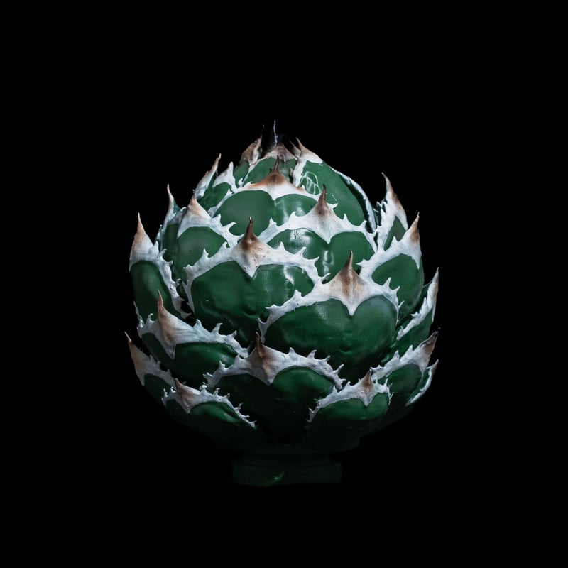LOBINDON アガベフィギュア 白鯨 | Ducks ( plants. )