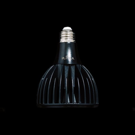 EverSun365 24W