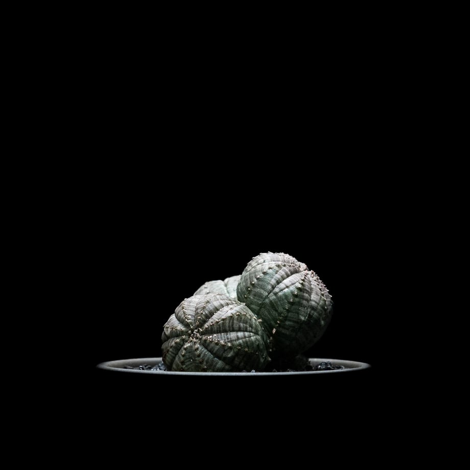 64c211345192010033b57e78