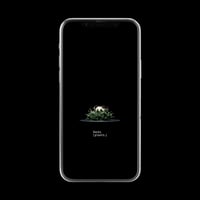 【スマホ壁紙】オブレゴニア デニグリー