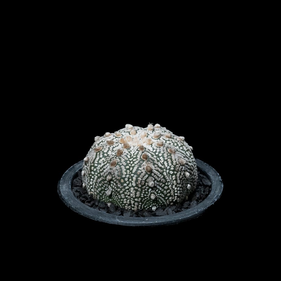 6576ec761c5df00051409666