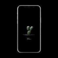 【スマホ壁紙】テフロカクタス ゲオメトリクス