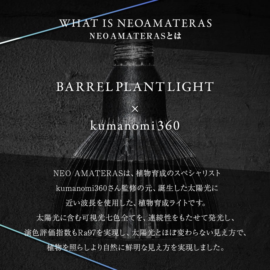 65cb1718a0c07f01b54bdd44